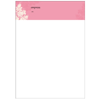 Papel Carta Aniversarios e Nascimentos 26