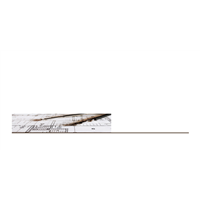 Envelope Oficio Arquiteto e Design 11