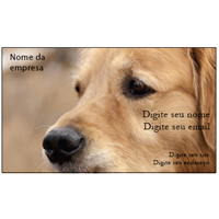 Cartão de Visita Pets 2