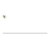 Envelope Oficio Natal 3