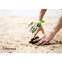 Cartão Postal Religioso 10