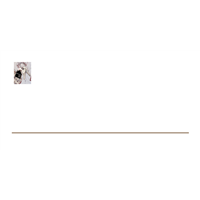 Envelope Oficio Arquiteto e Design 6