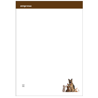 Bloco Pequeno Pets 29