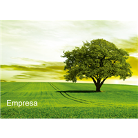 Cartão Postal Religioso 16