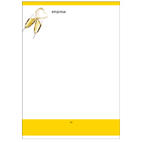 Papel Carta Aniversarios e Nascimentos 18