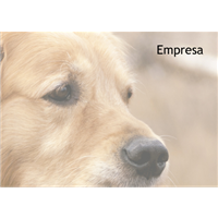 Cartão Postal Pet 2